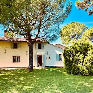 Fig Faenza